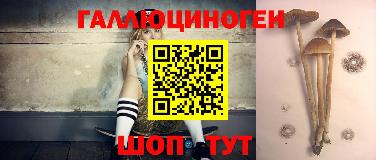 Галлюциногенные грибы мицелий  Вход с VPN  Лабинск 